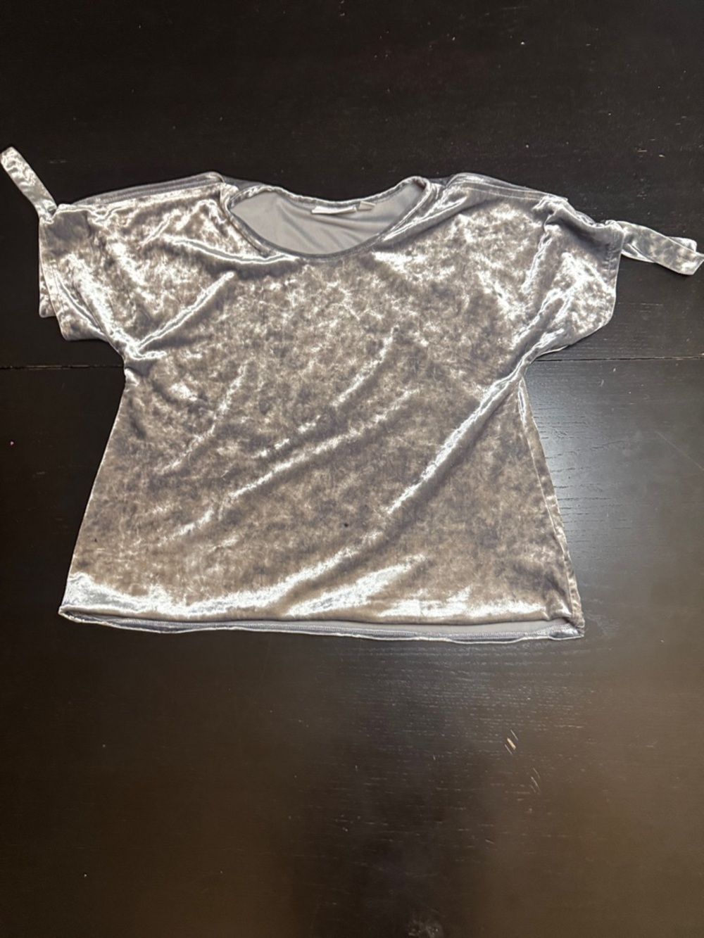 Silver Velvet Short Sleeve Top
